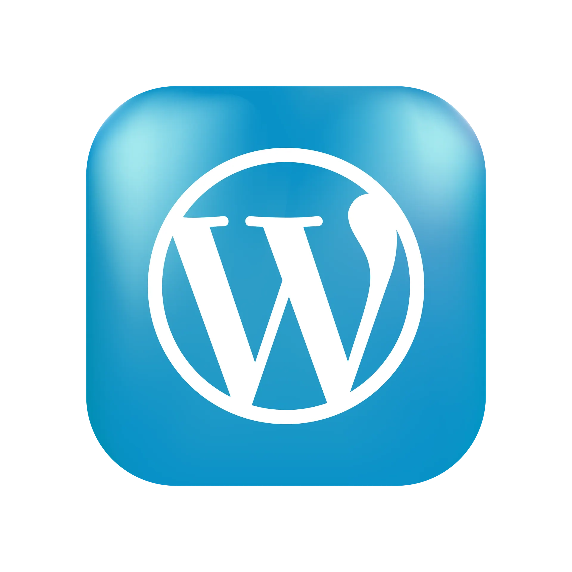 WordPress Development